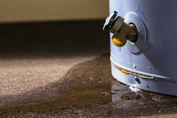 Best Emergency water damage restoration  in Citrus City, TX