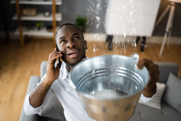 Best Fire Damage Restoration  in Citrus City, TX