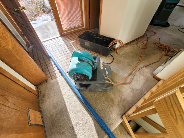 Best Water damage repair service  in Citrus City, TX