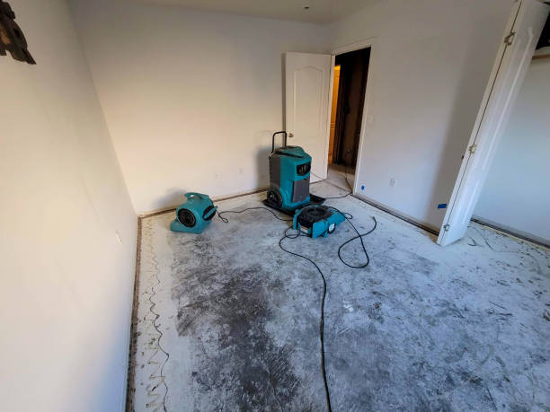 Sewage cleanup and water damage restoration in Citrus City, TX
