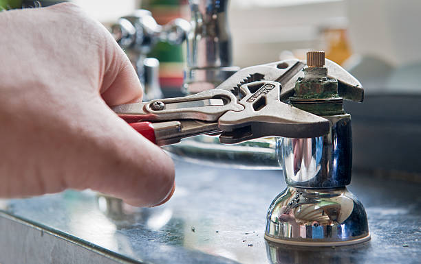 Best Local water damage restoration  in Citrus City, TX