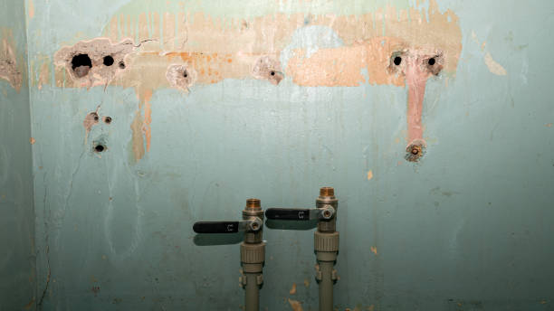 Best Commercial water damage restoration  in Citrus City, TX