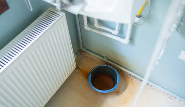 Best Sewage cleanup and water damage restoration  in Citrus City, TX