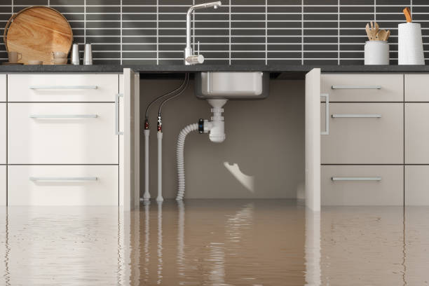 Water damage restoration mold remediation in Citrus City, TX