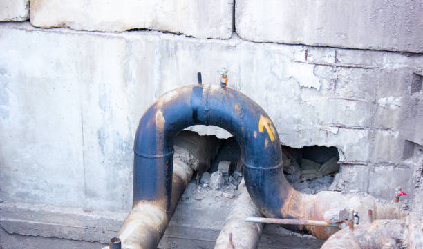 Best Residential water damage restoration  in Citrus City, TX