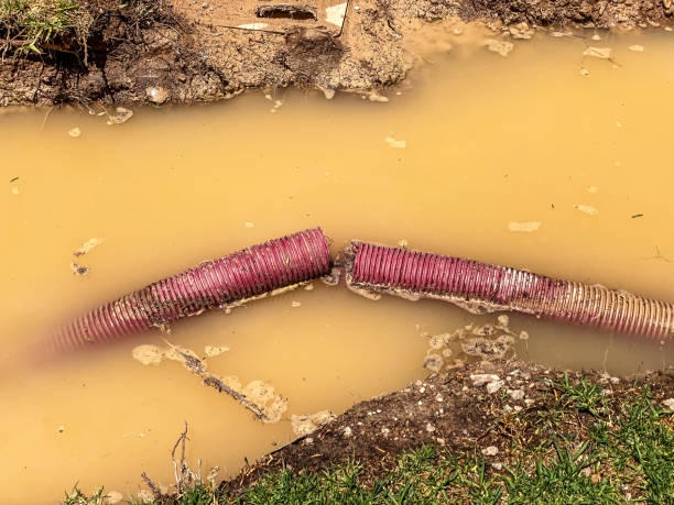 Best Water damage restoration near me  in Citrus City, TX