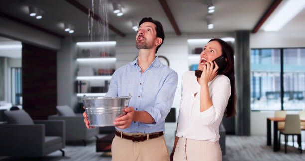 Best Water damage repair service  in Citrus City, TX