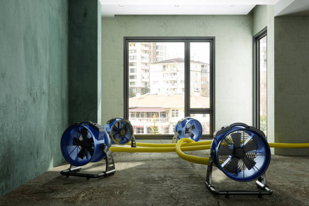 Best Water damage restoration near me  in Citrus City, TX